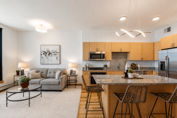 1240 S 2nd Street #709, Minneapolis, MN 55415