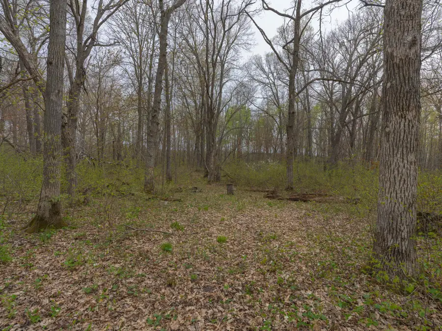 TBD Destiny Drive, Garrison, MN 56450 - #2