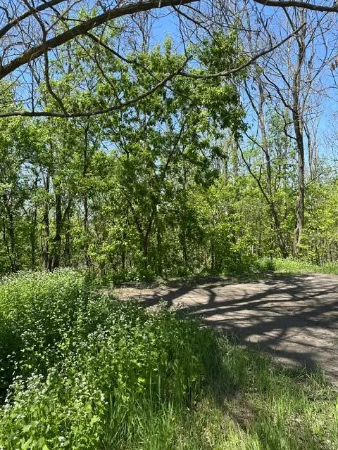 XXX S Adams Street, Saint Croix Falls, WI 54024 - #2