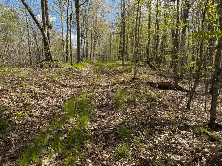 TBD Leonard Road, Birchwood, WI 54817 - #3