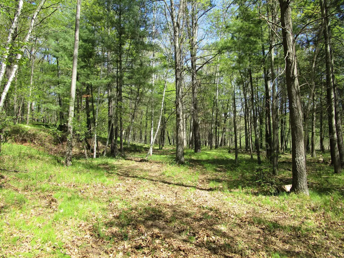 XX S Long Lake Rd, Siren, WI 54872 - #1
