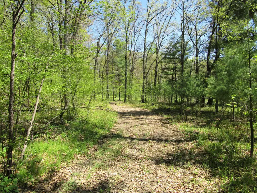 XX S Long Lake Rd, Siren, WI 54872 - #2