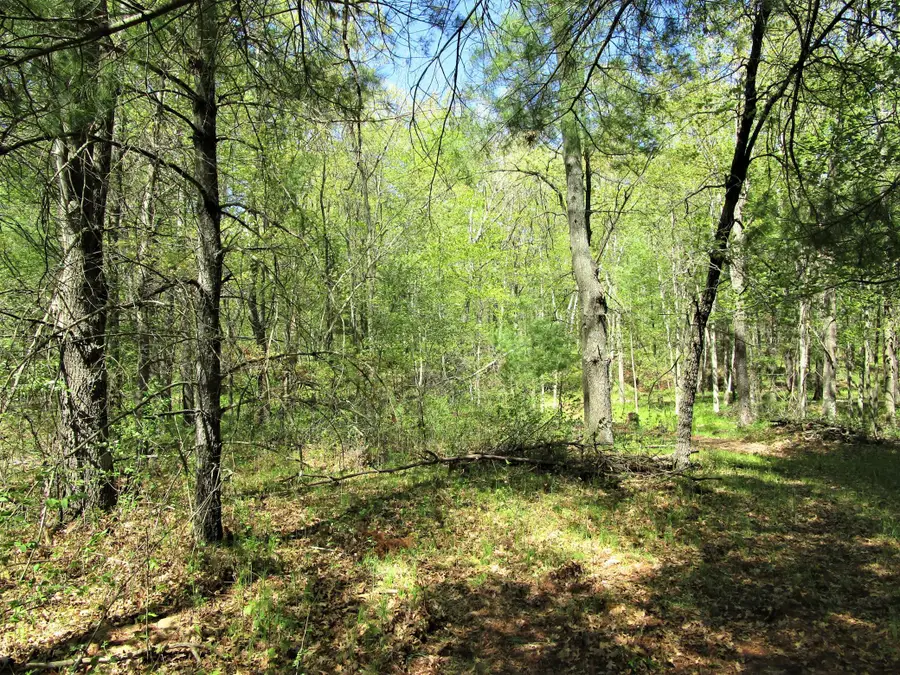 XX S Long Lake Rd, Siren, WI 54872 - #3