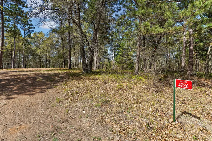 4226 Deerpath Road, Danbury, WI 54830 - #3