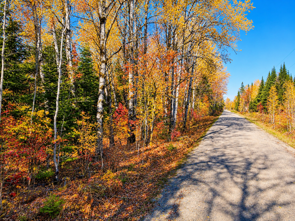 Parcel B Township Road D, Wawina, MN 55736
