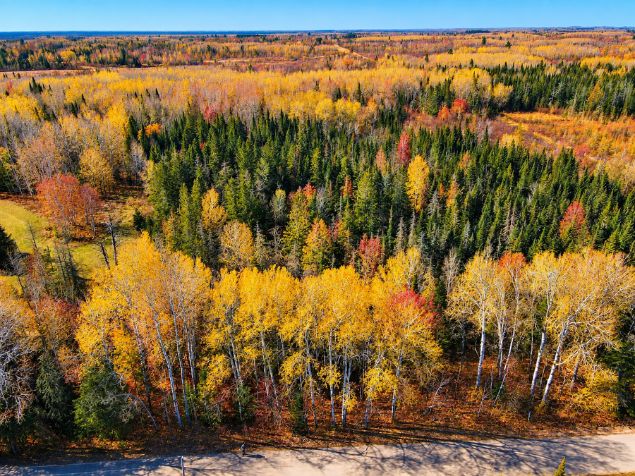 Parcel B Township Road D, Wawina, MN 55736 - #2