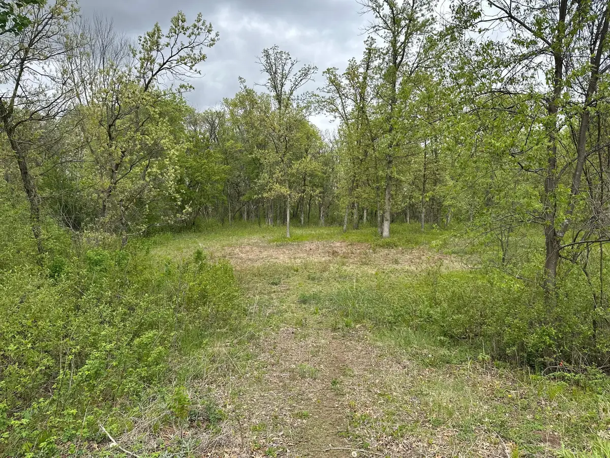 TBD 301st Avenue Nw, Princeton, MN 55371 - #1