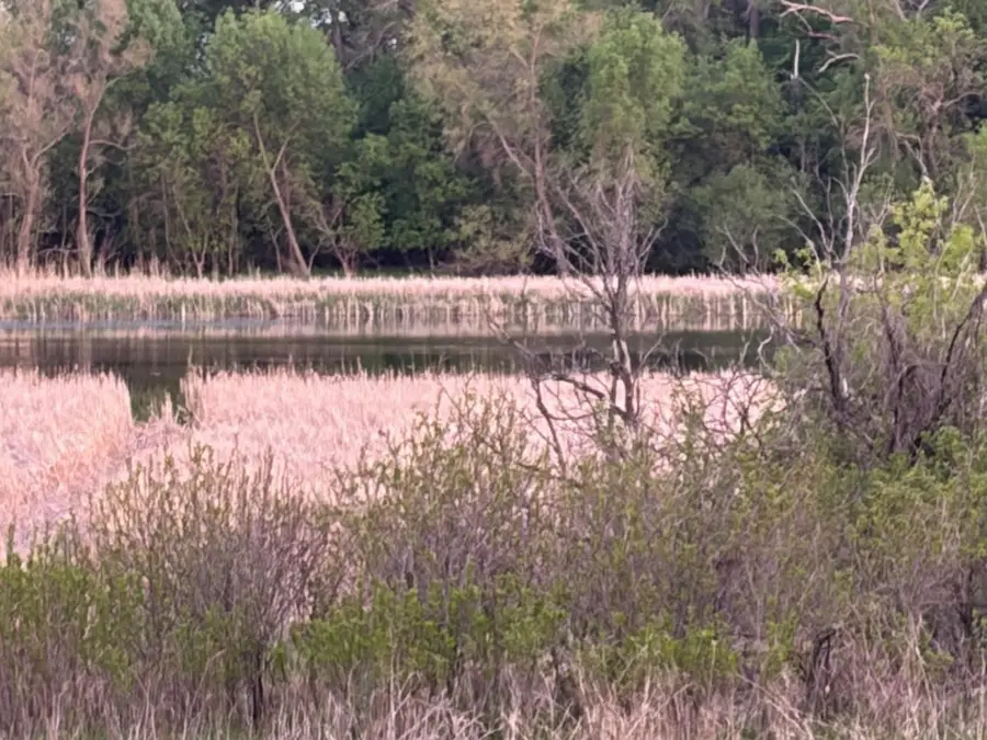 58255 Mn-7, Cosmos, MN 56228 - #2