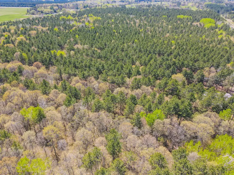 TBD Deacon Drive - Parcel B, Park Rapids, MN 56470 - #2