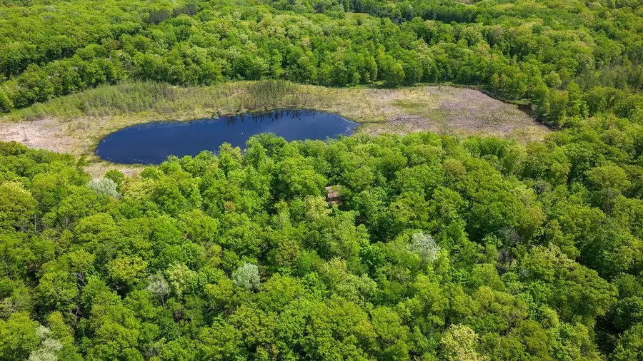 TBD 170th Ave/cty Rd I, Balsam Lake, WI 54810 - #2