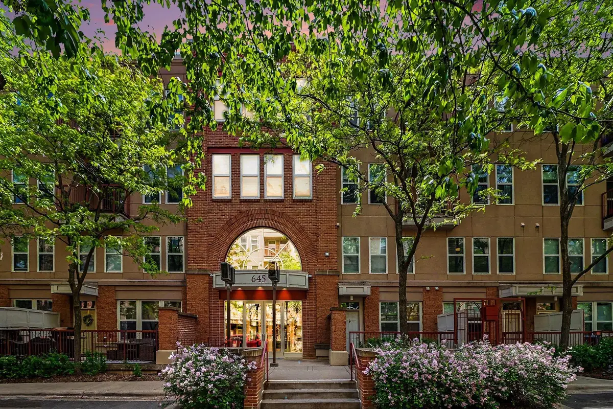 645 N 1st Street #300, Minneapolis, MN 55401 - #1