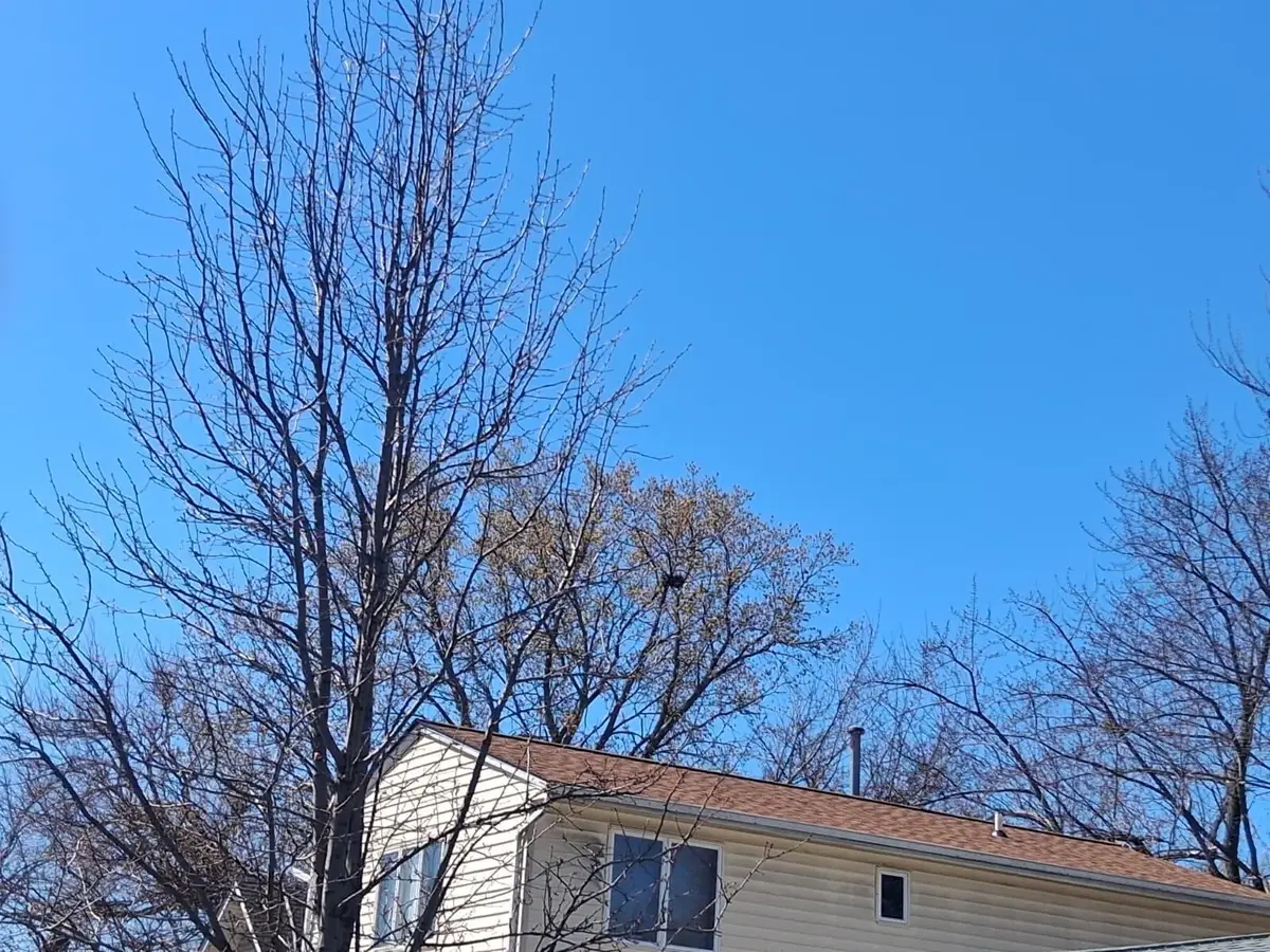 4245 Welcome Avenue N, Minneapolis, MN 55422 - #1