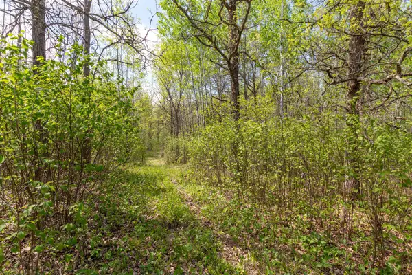 TBD Stephani Road Nw, Puposky, MN 56667