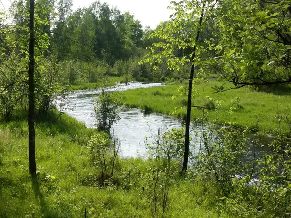 10005 Rice Road, Brook Park, MN 55007