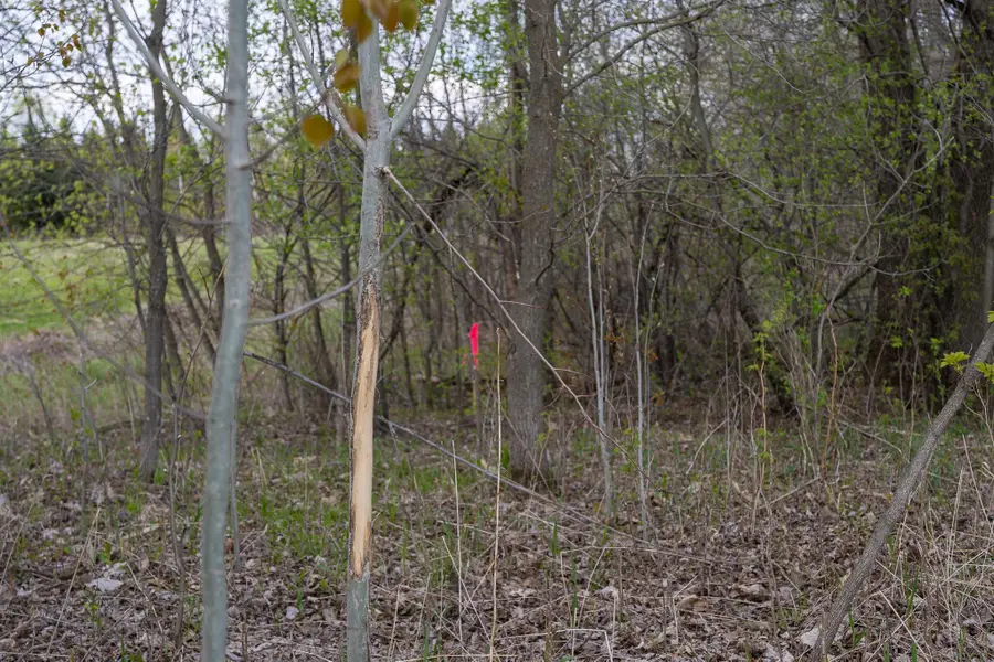Parcel A - 20AC 465th Street, Sunrise, MN 55032 - #3