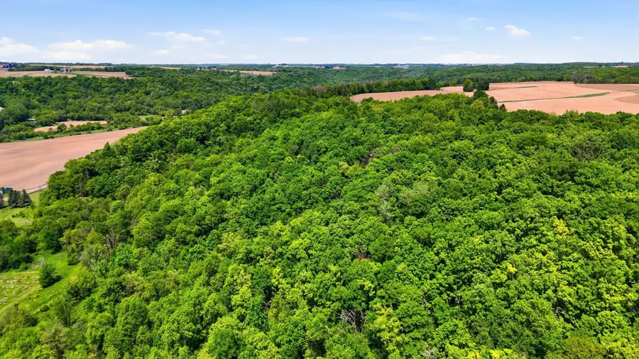 31 acres Cty Rd. S, Plum City, WI 54761 - #2