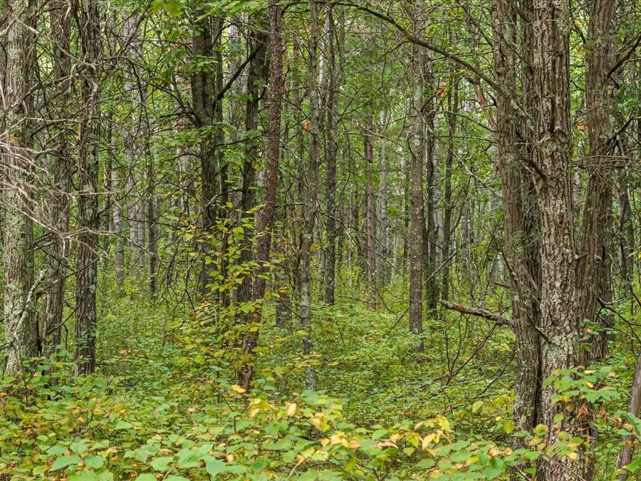 Lot I Sandbar Lane, Merrifield, MN 56465 - #3