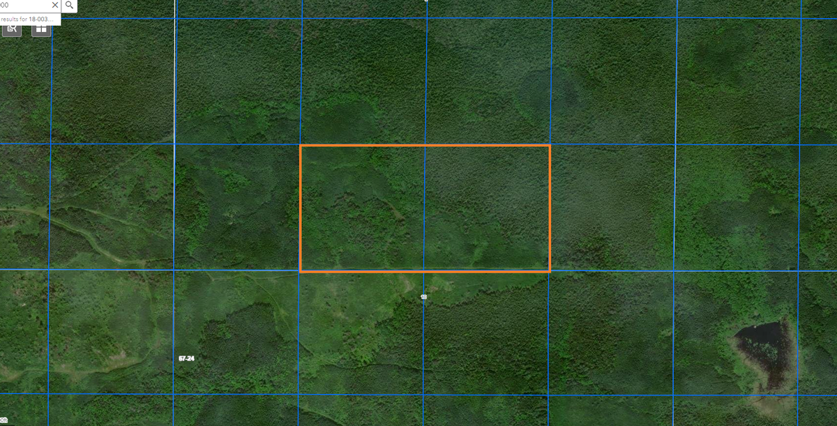 TBD County Road 8, Littlefork, MN 56653 - #1