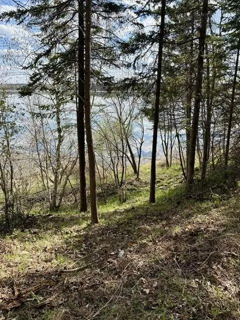37222 N Courage Dr (lot 5), Lake George, MN 56458 - #3