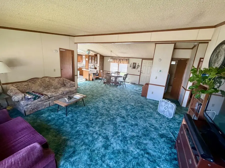 8912 Carpenter Road, Angora, MN 55703 - #3