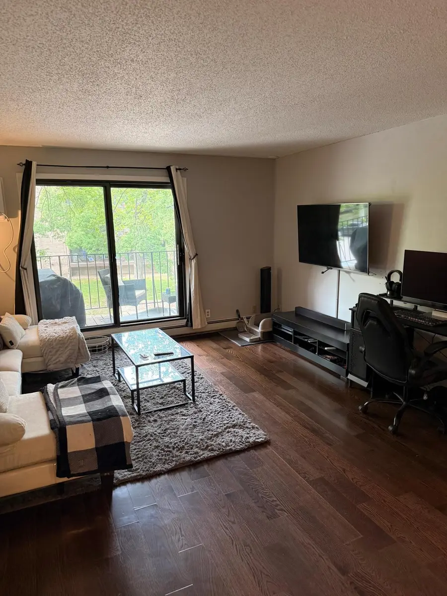 5627 Green Circle Drive #219, Hopkins, MN 55343 - #3