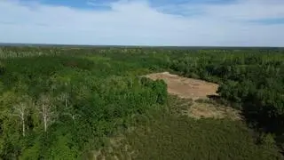 TBD County 4, Park Rapids, MN 56470 - #1
