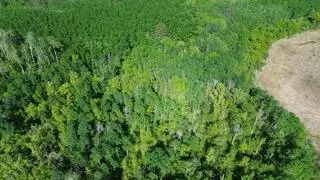 TBD County 4, Park Rapids, MN 56470 - #2