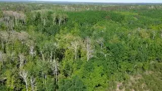TBD County 4, Park Rapids, MN 56470 - #3