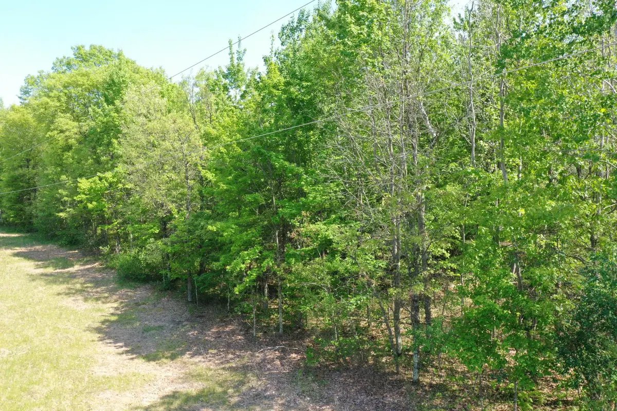XXX Evergreen Avenue, Saint Croix Falls, WI 54024 - #1