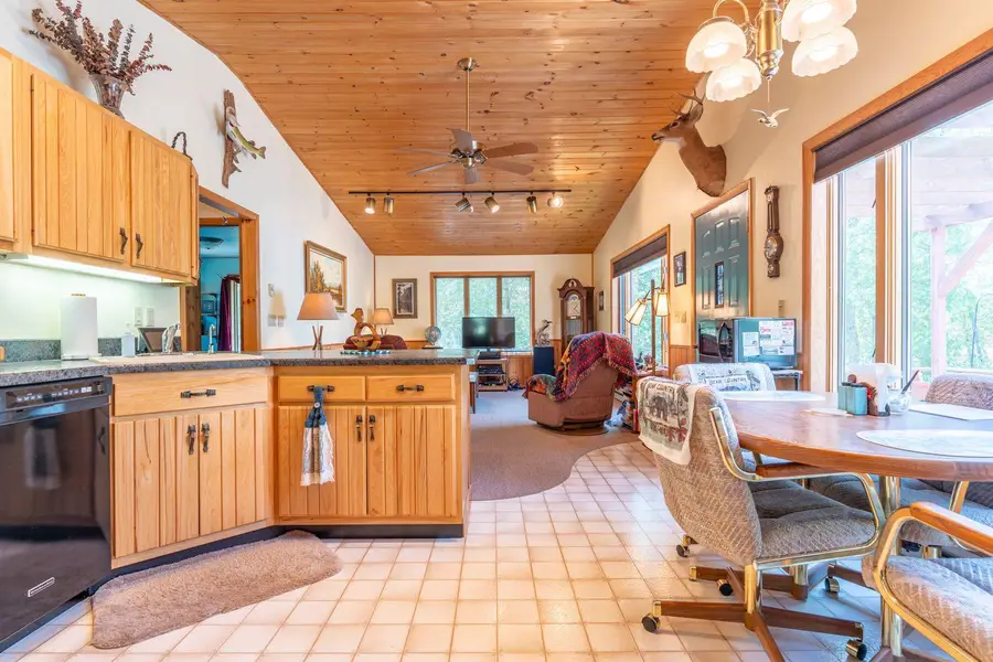 5399 Pine Island N, Tower, MN 55790 - #3
