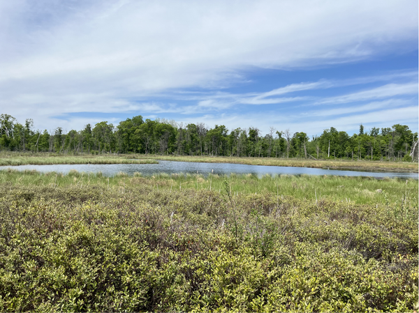 13384 Sorenson Lake Road, Merrifield, MN 56465