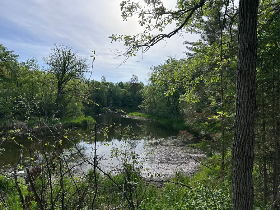 TBD Front Street, Pine River, MN 56474 - #2
