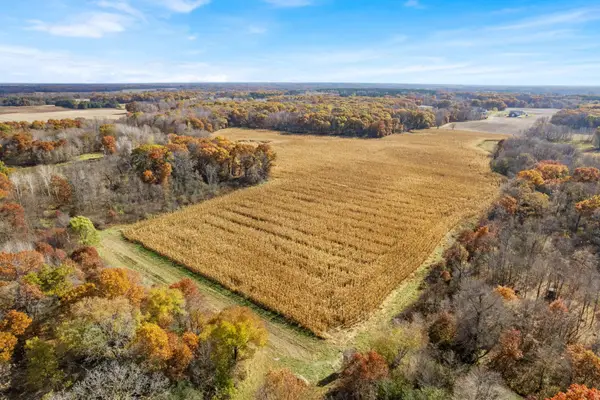 71xxx 165th Avenue Se, Becker Twp, MN 55308