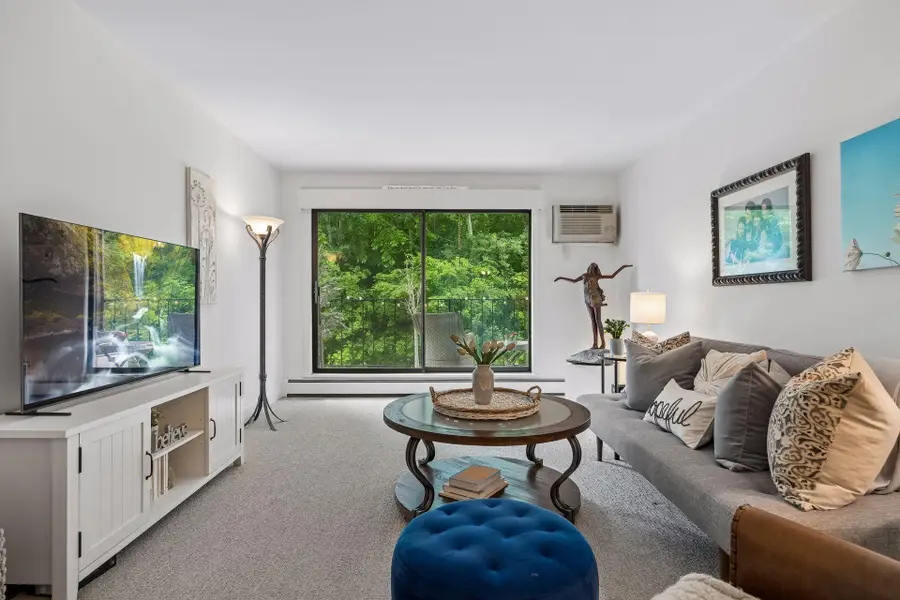 215 Barry Avenue S #218, Wayzata, MN 55391 - #3