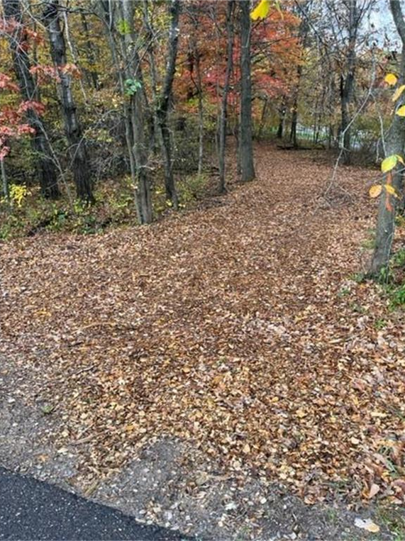 Lot 4 Tiger Street Nw, Princeton, MN 55371 - #1
