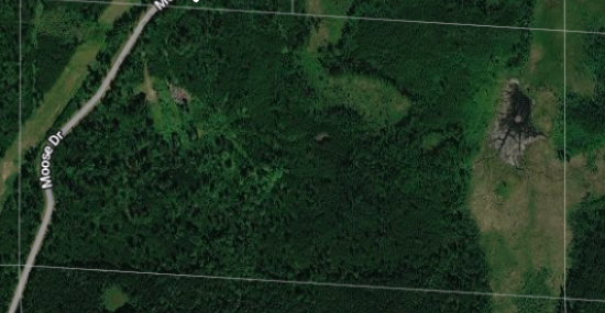 XXXX Moose Drive, Laporte, MN 56461