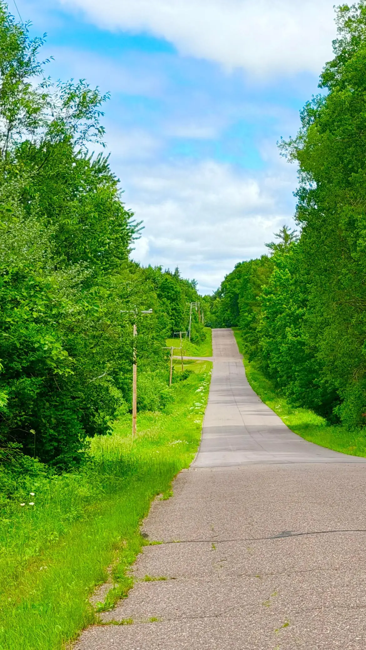N3860 Kostka Road, Ladysmith, WI 54848 - #1