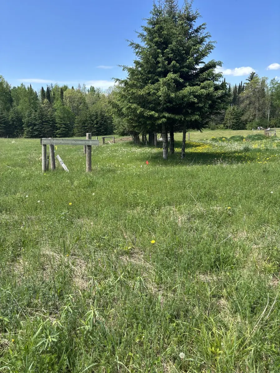 N3860 Kostka Road, Ladysmith, WI 54848 - #3