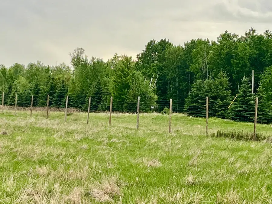 1234 Cr 51, Bovey, MN 55709 - #3