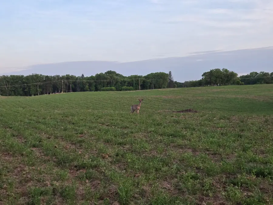 TBD Parcel A County Rd 5 Nw, Princeton, MN 55371 - #2