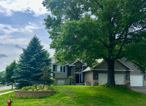 3729 Tower Pond Drive, Anoka, MN 55303