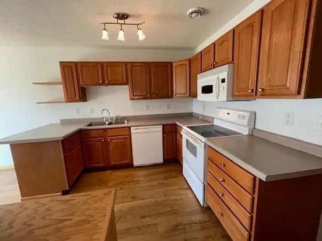 203 Lindstrom Avenue W, Grove City, MN 56243 - #3