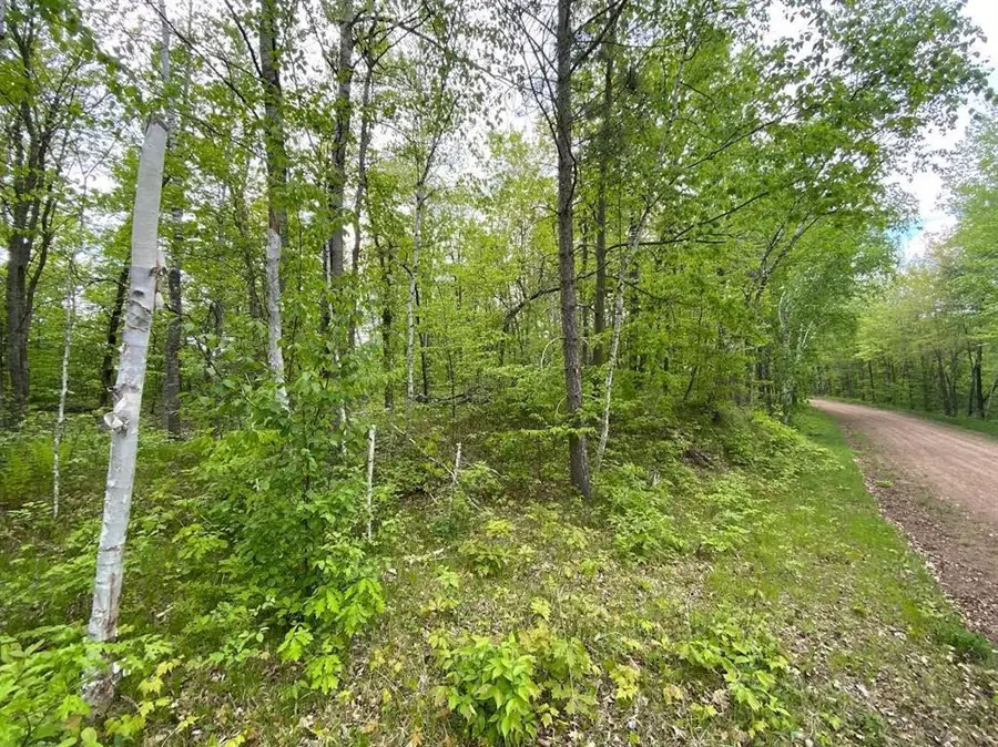 Lot 9 Hustvet, Chicog, WI 54888 - #2