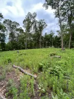 4188 161st Lane Ne, Ham Lake, MN 55304 - #1