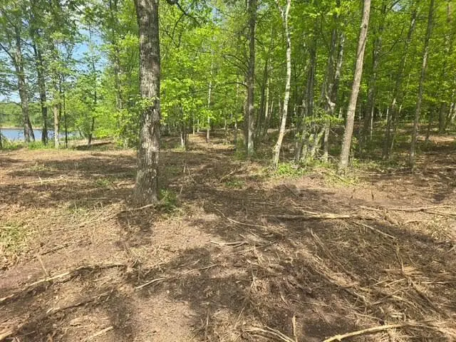 Lot 5 County Road 30, Crosby, MN 56441 - #2