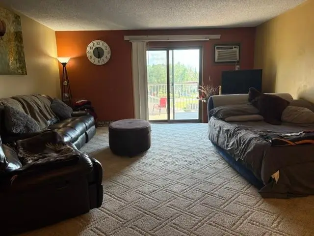 570 Whispering Lane #305, Hastings, MN 55033 - #3