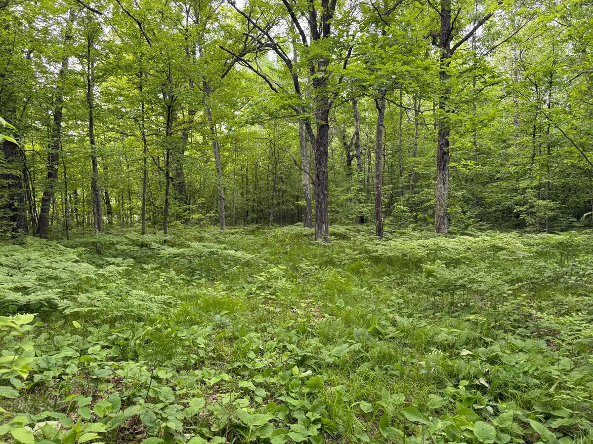 TBD Sandhill Crane Ln, Pine City, MN 55063 - #1