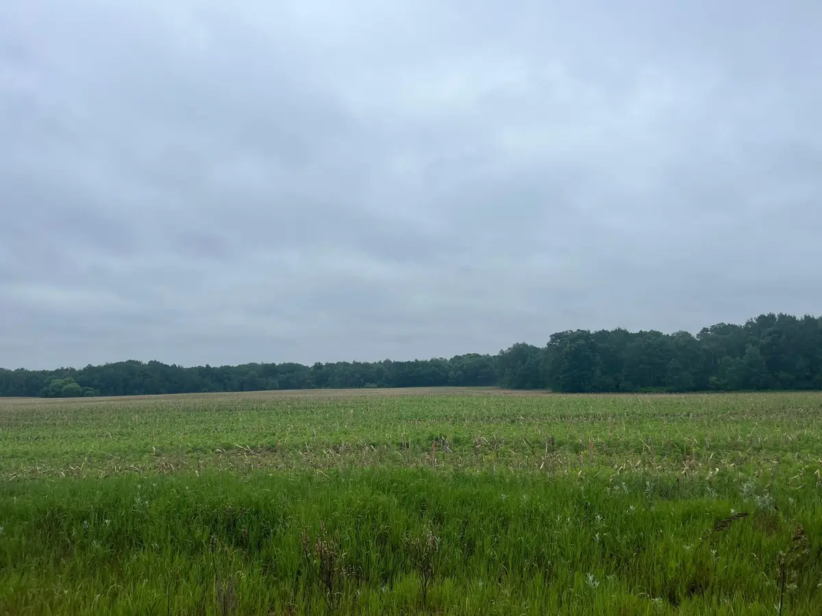 TBD (Lot 3) Hemingway Avenue, North Branch, MN 55056 - #1