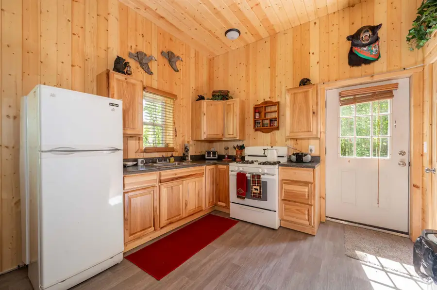 67488 Busties Lake Access, Effie, MN 56639 - #2