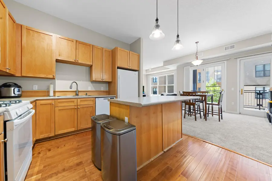 209 8th Street E #305, Saint Paul, MN 55101 - #3